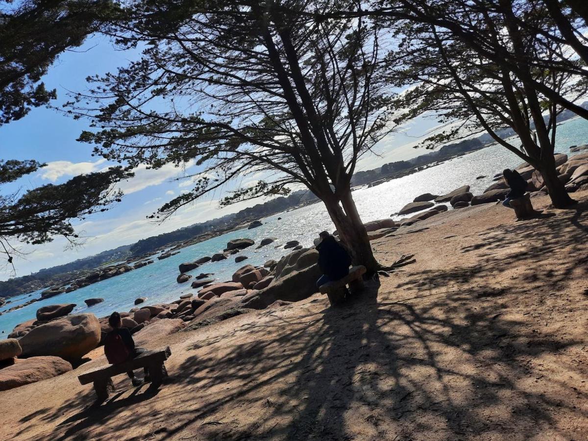 Appartement Plage De Trestraou 45M2 Perros-Guirec Eksteriør bilde