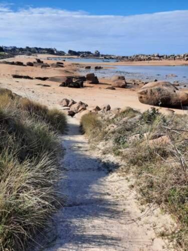 Appartement Plage De Trestraou 45M2 Perros-Guirec Eksteriør bilde
